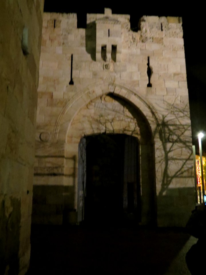 0470 Mura di Gerusalemme (5)