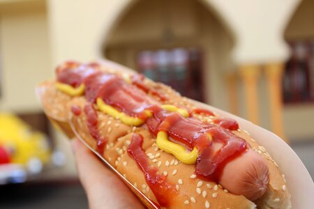 Hot dog gourmet tomato sauce