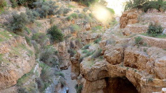 1185 Wadi al-Qilt (16)