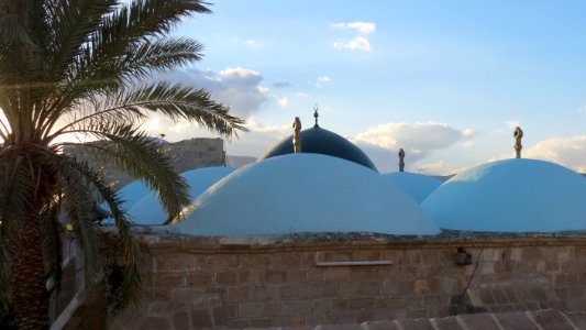 1485 Nabi Mosa (6)
