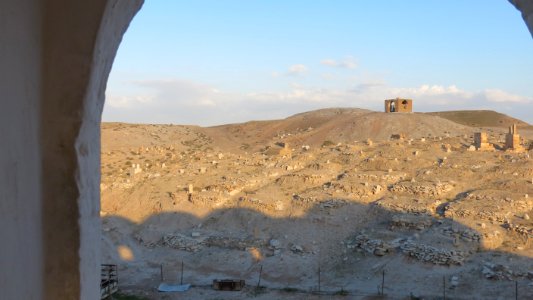 1480 Nabi Mosa (5)