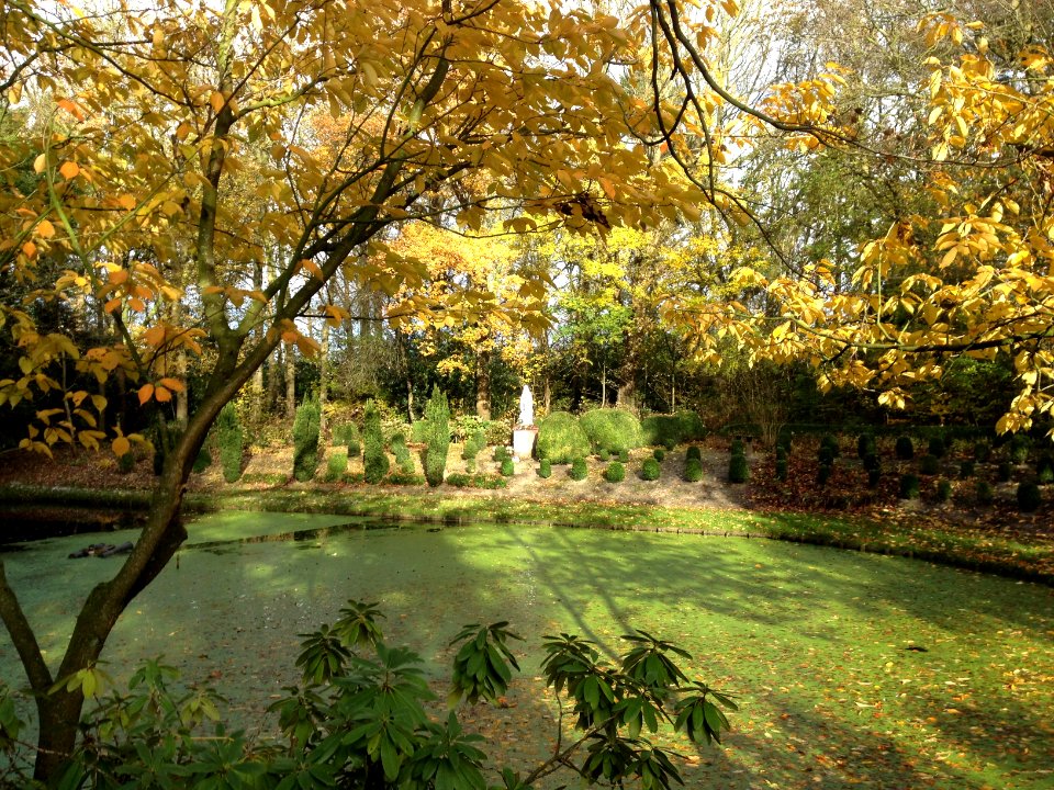 OLV ter Nood Herfst