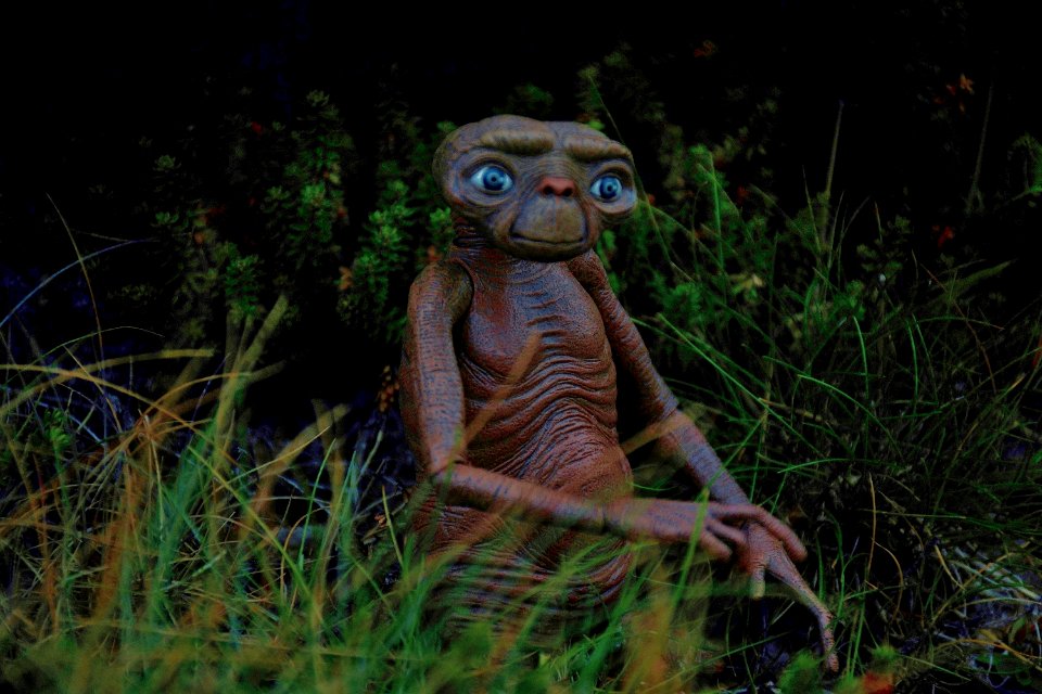 E.T the Extra-Terrestrial