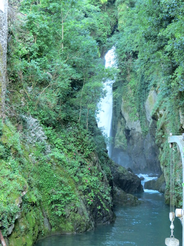 Nesso (5)