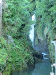 Nesso (5)