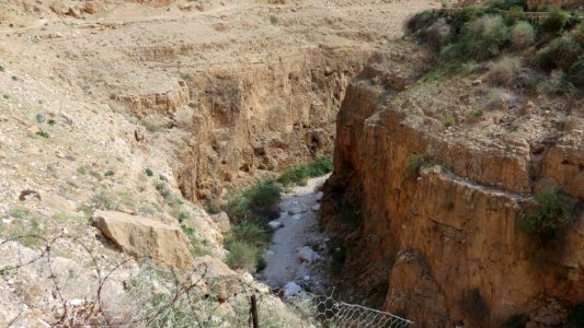1270 Wadi al-Qilt (33) photo