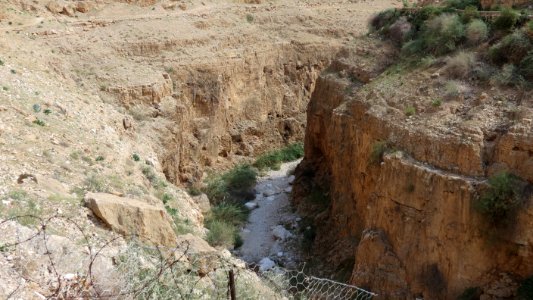 1270 Wadi al-Qilt (33)