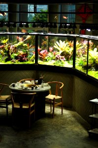 [Vivarium] Vivarium walls from ChengDu by LiLanTao 52