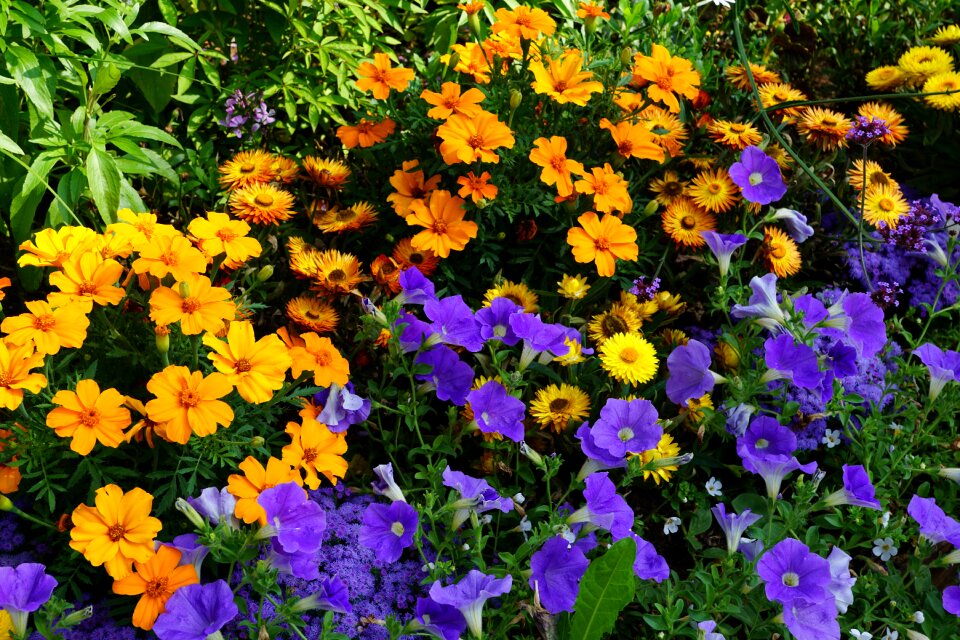 Green colorful spring