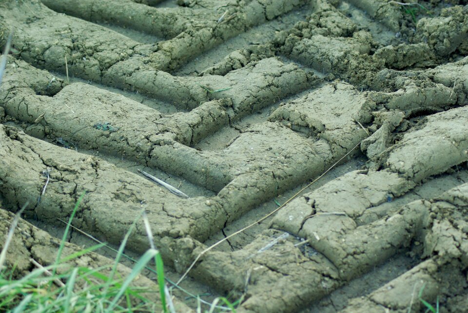 Tires fingerprints mud