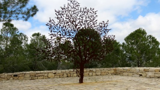 1625 Yad Vashem (14)
