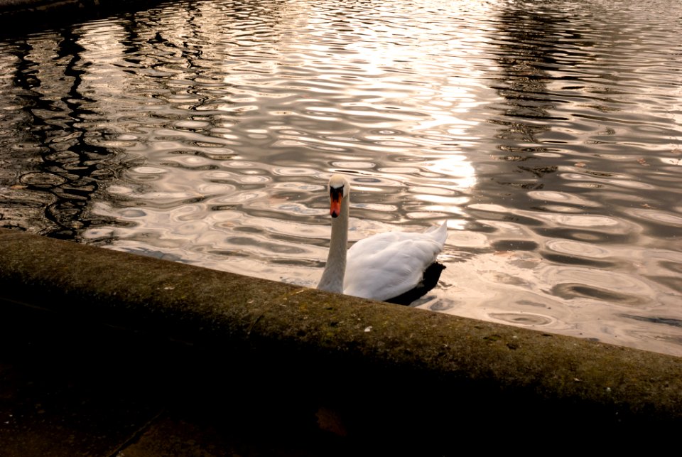 Kensington Gardens