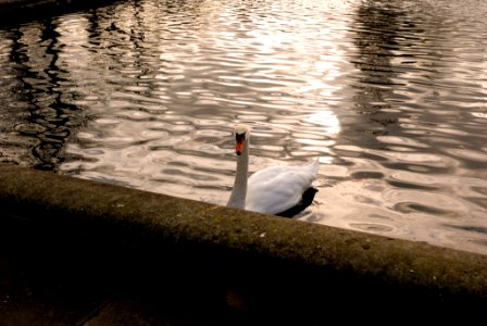 Kensington Gardens