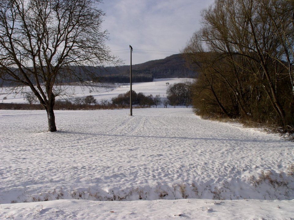2014-12-28 11.31.10