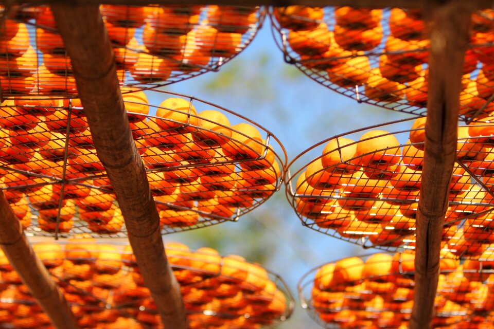 Fruit orange persimmon