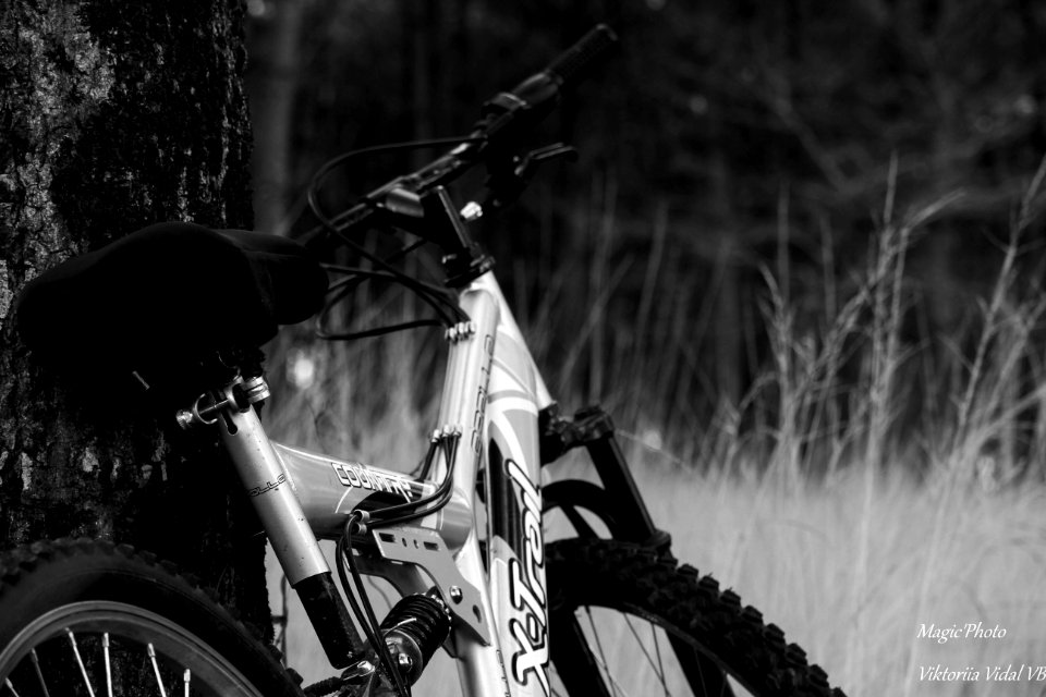 Les Landes à vélo