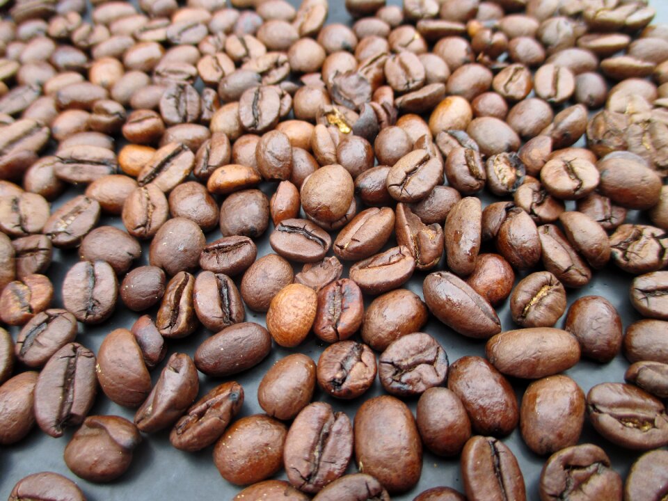 Coffee roasted aroma
