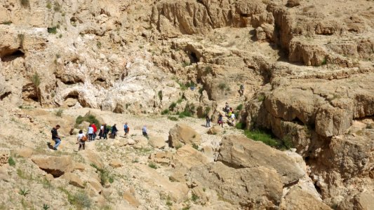 1285 Wadi al-Qilt (36) photo