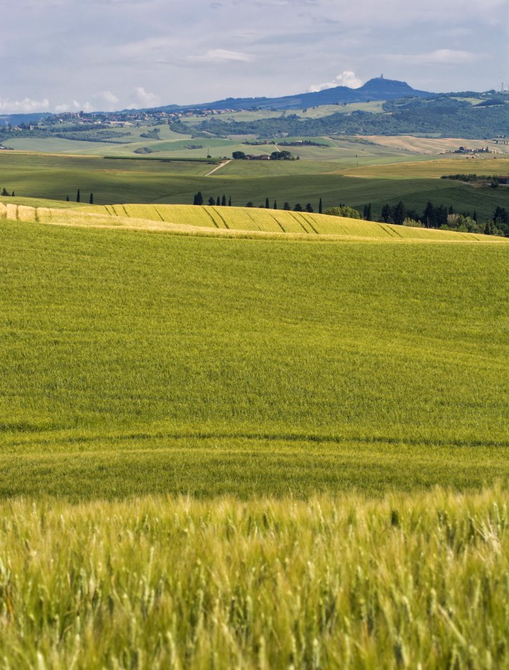Val d'Orcia