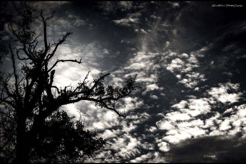 Parade of clouds. photo