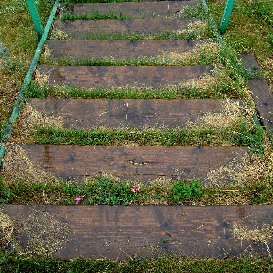 Slip on the last step