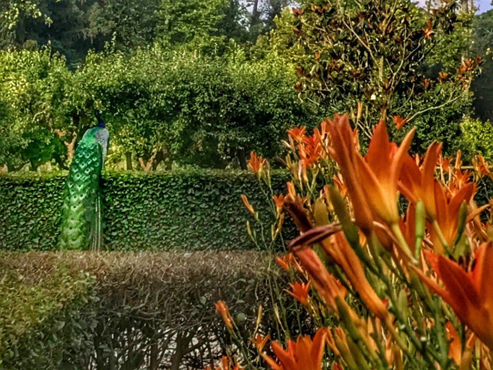 Jardines de Aranjuez