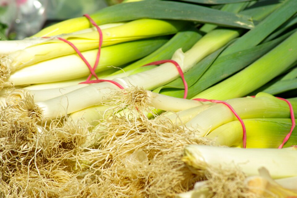 Leeks vegetables vegetable garden