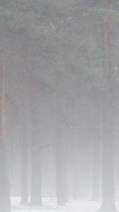 2015-02-25 16.38.06