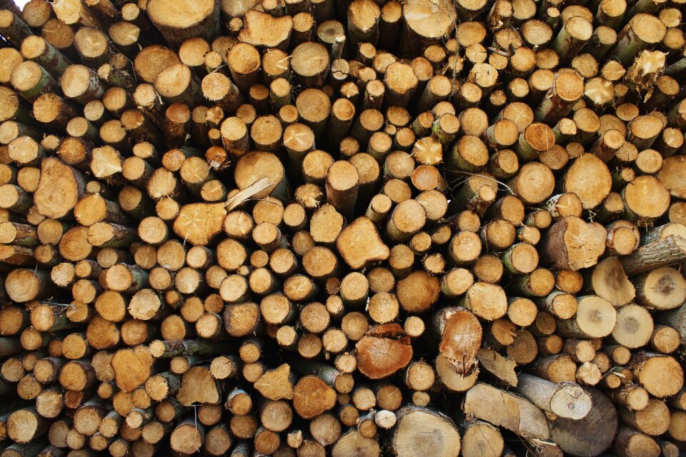Lumber wood texture