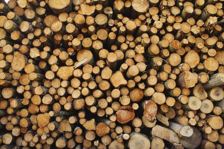 Lumber wood texture
