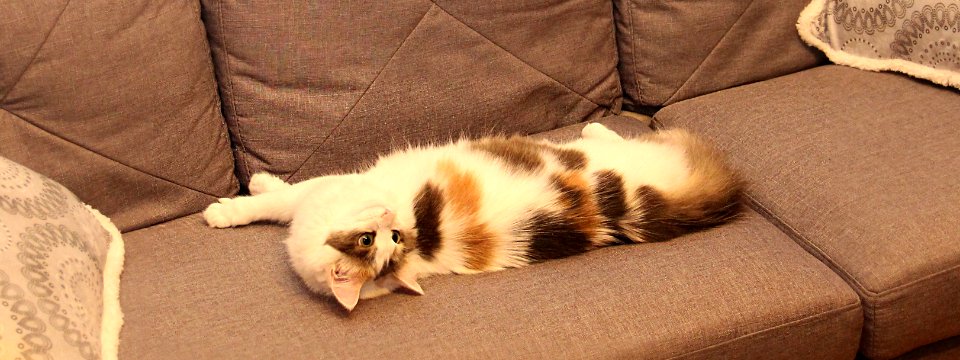 "What do yo mean get off YOUR sofa..?"