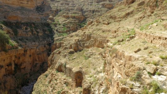1315 Wadi al-Qilt (42) photo