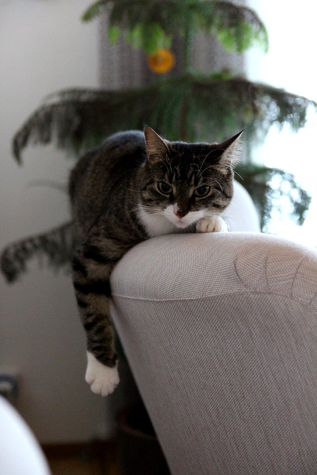 "Not again with that camera..."