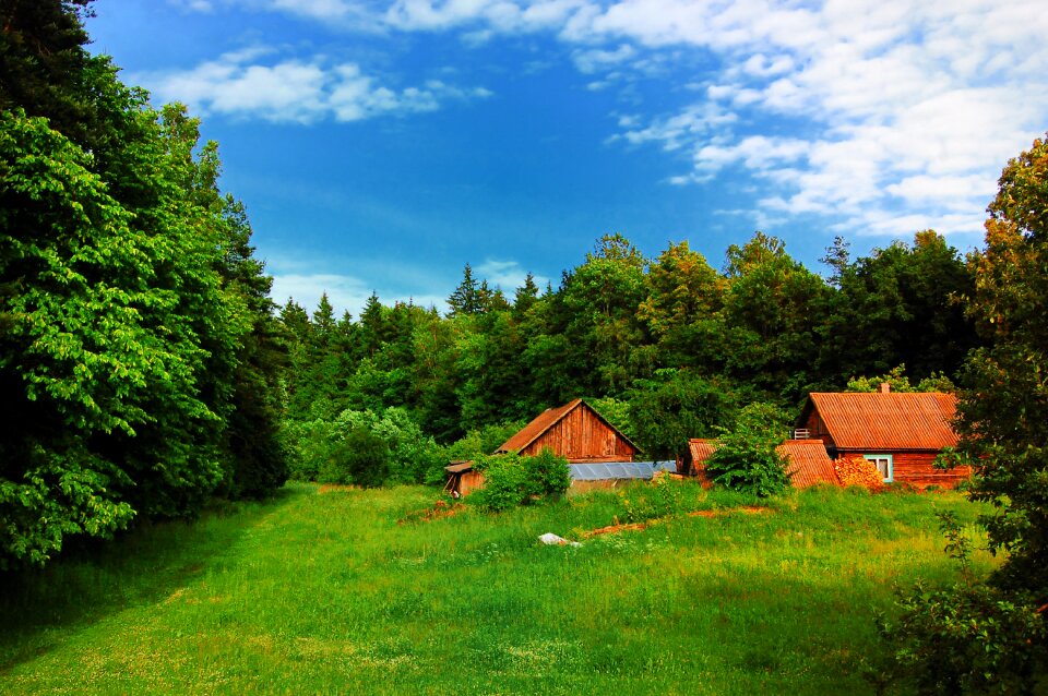 Tourism nature grass