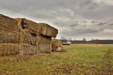 Block straw bales agriculture photo