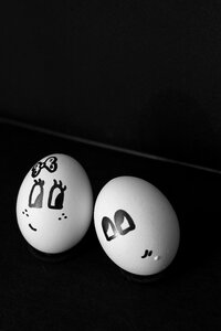 Romantic black egg black eggs