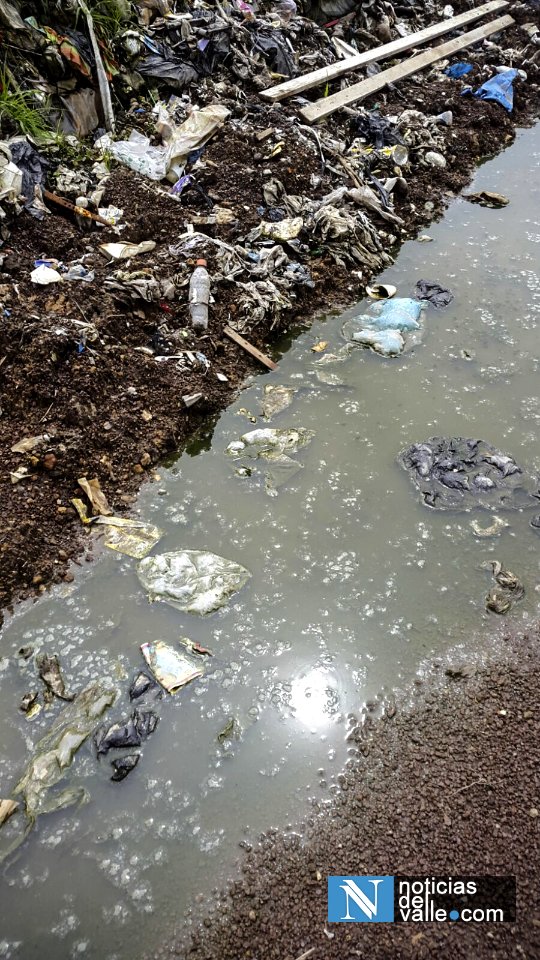 Colapsa planta de tratamiento de desechos sólidos en bosque municipal