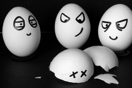 Gray angry gray egg gray eggs