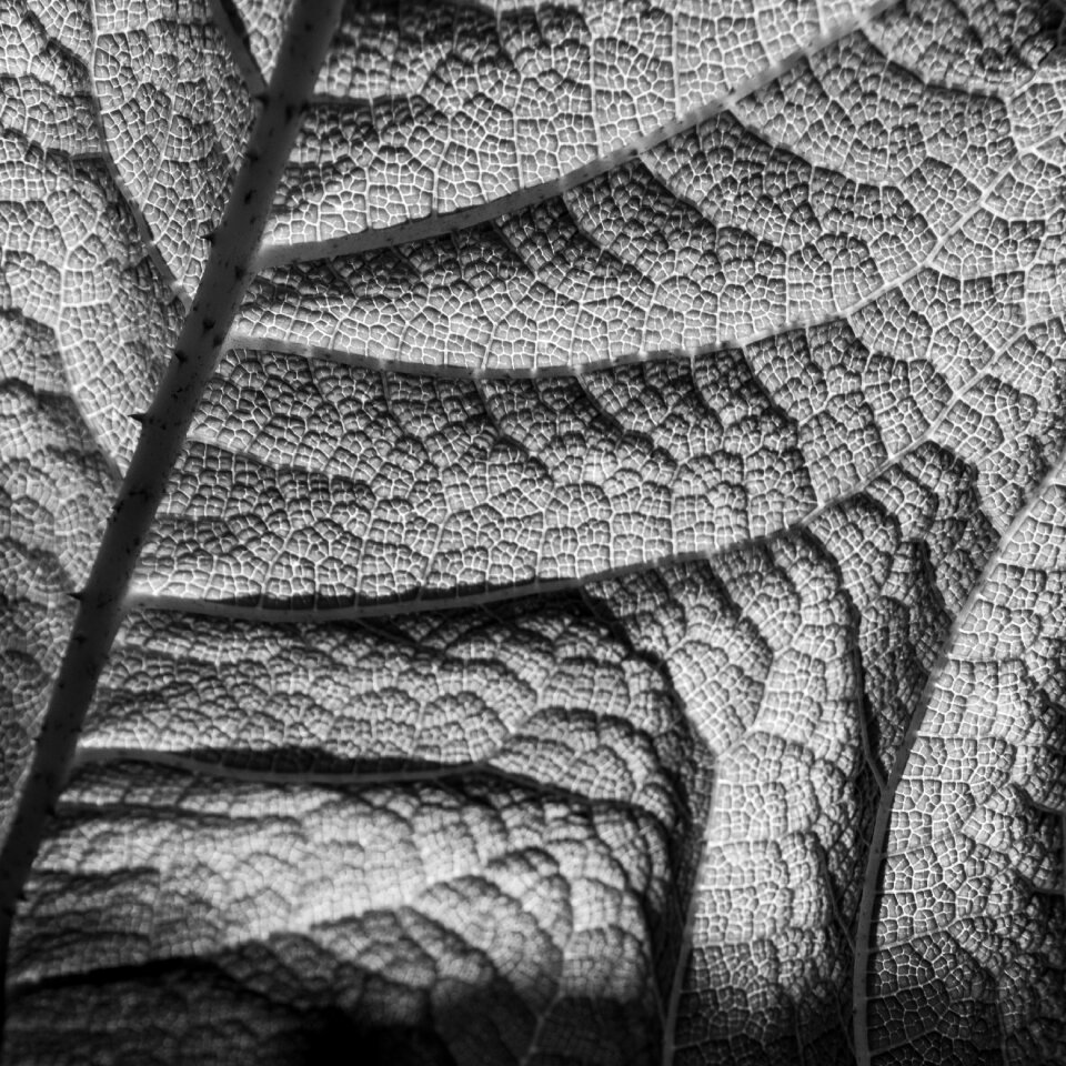 Texture surface structures