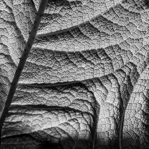 Texture surface structures