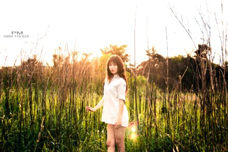 DSC 0044