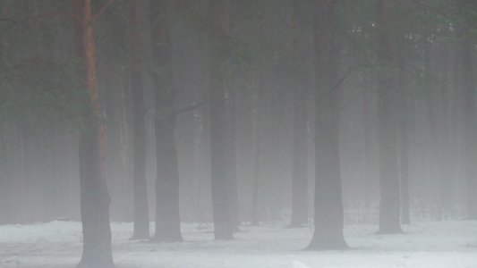 2015-02-25 16.37.56