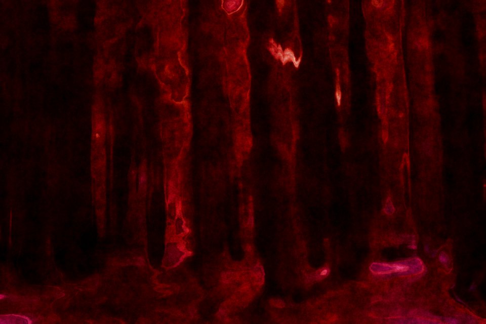 Deepforest abstractwatercolor09