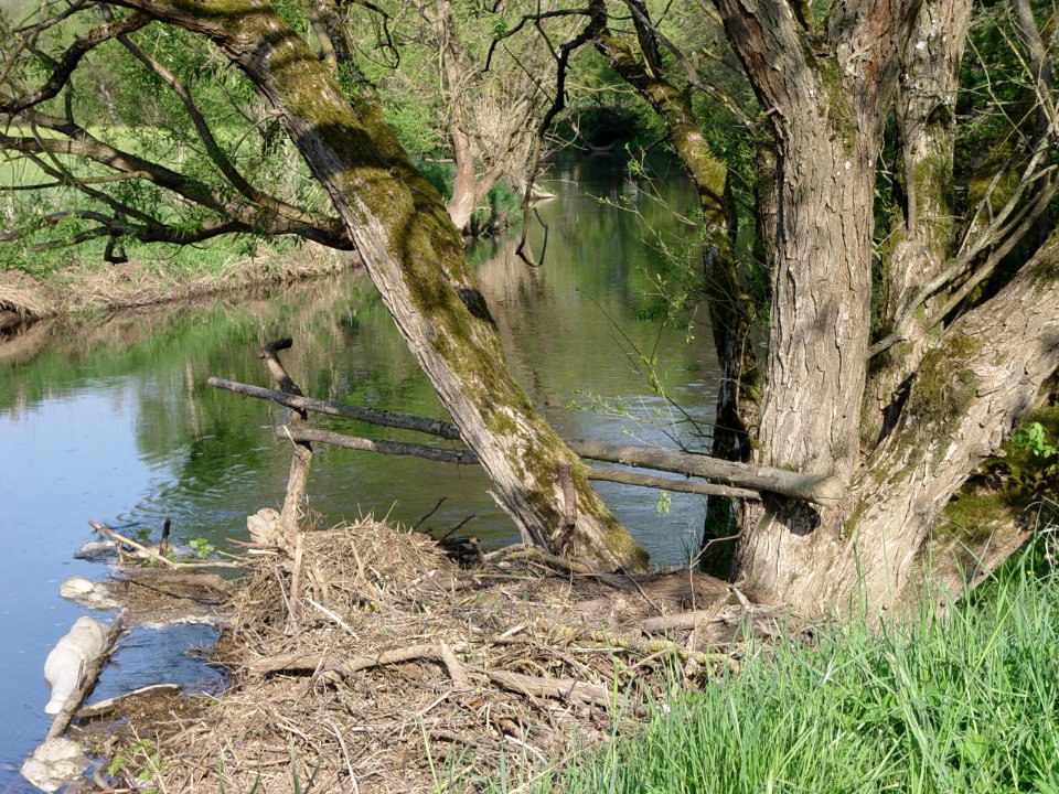 2015-05-02 Fränkische Saale bei Diebach