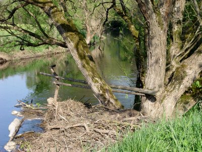 2015-05-02 Fränkische Saale bei Diebach photo