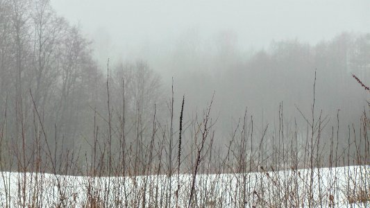 2015-02-26 16.06.01-2