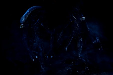 ``Xenomorphs`` photo