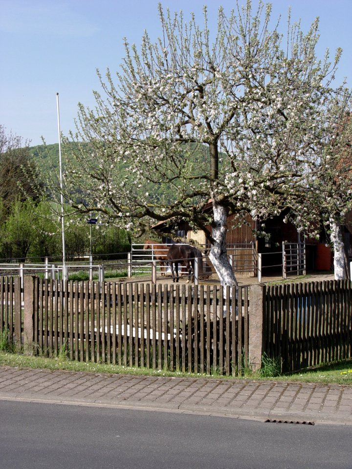2015-05-02 Mühlsteinhof Diebach