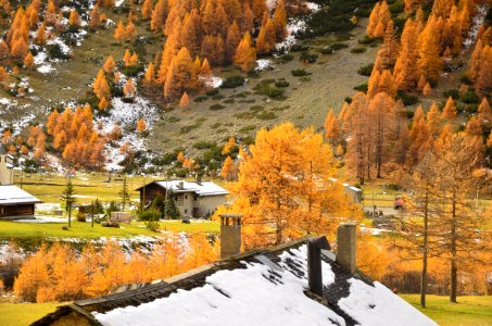 Livigno - italy photo