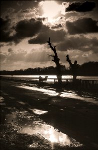 contraste seine Essonne